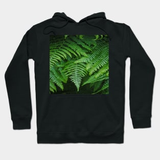 botanical rainforest foliage tropical fern leaf Hoodie